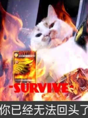 ϵͳ